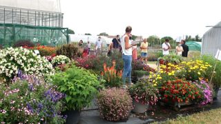 Le jardin d’essais de la station Astredhor Sud-Ouest permet de juger sur pied le comportement variétal, notamment face aux changements climatiques, mais aussi les nouveautés horticoles qui vont arriver sur le marché. ©O.Maillard